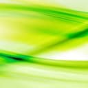 Bellevue Anti-Aging Medical Clinic logo