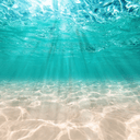 Synergy Wellness Center logo