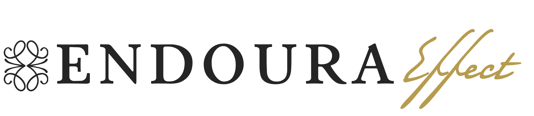 Endoura Effect logo