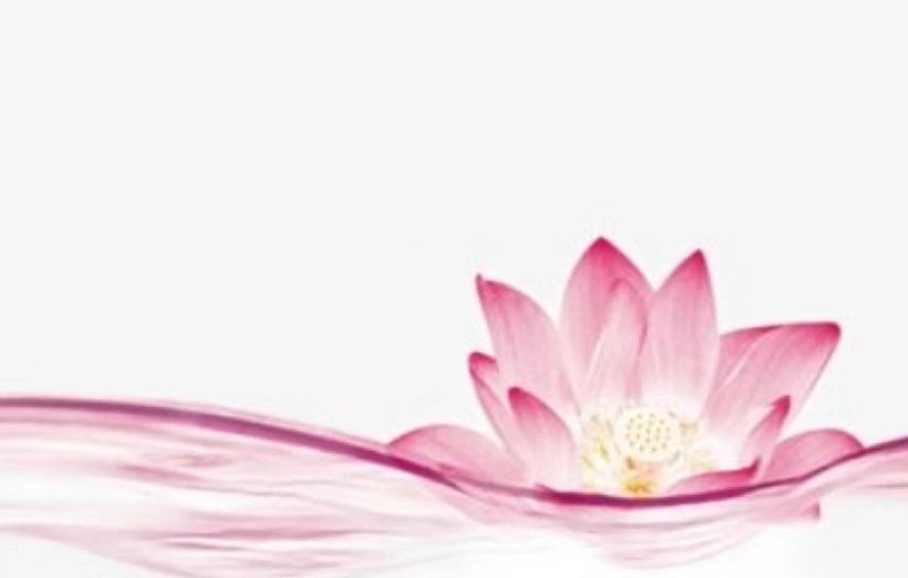 InnerBeauty Wellness Center logo