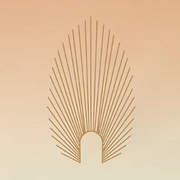 New Wave Functional & Aesthetic Medicine logo