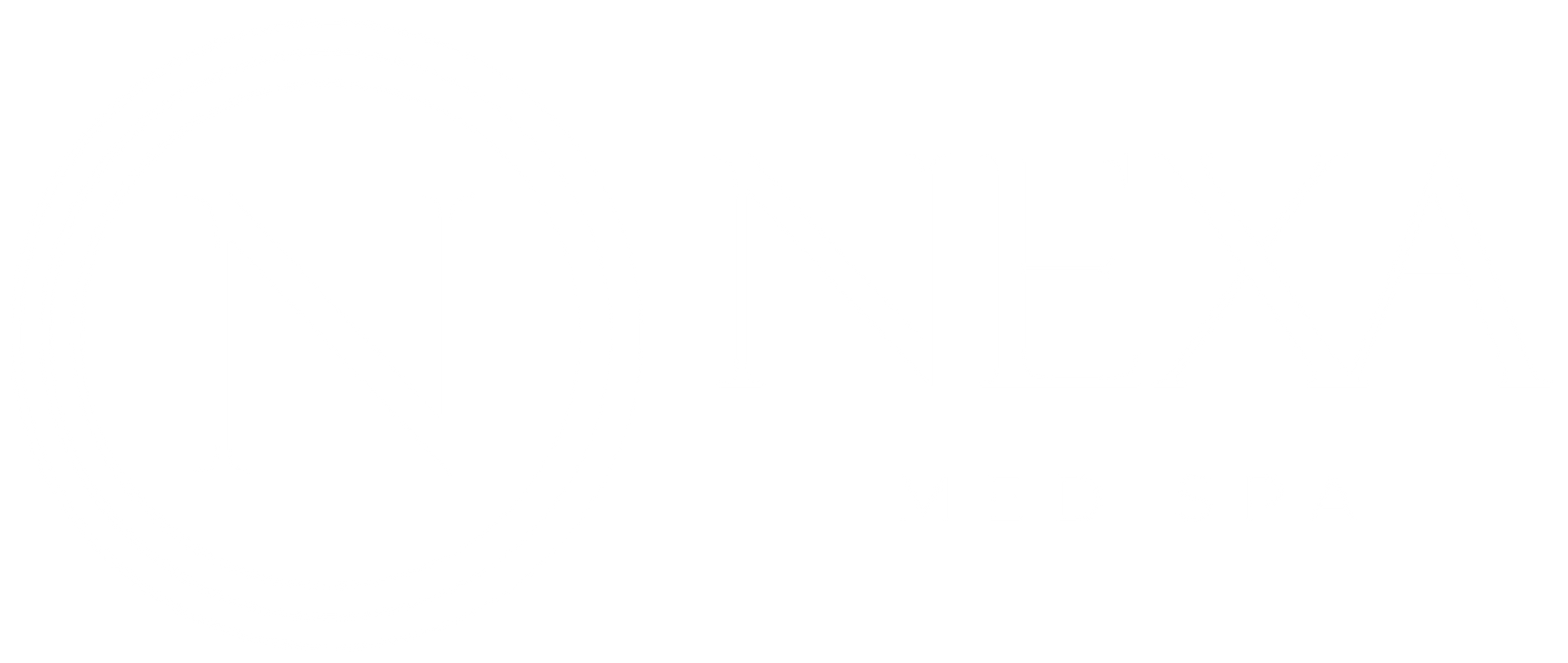 Nexa Med Spa logo