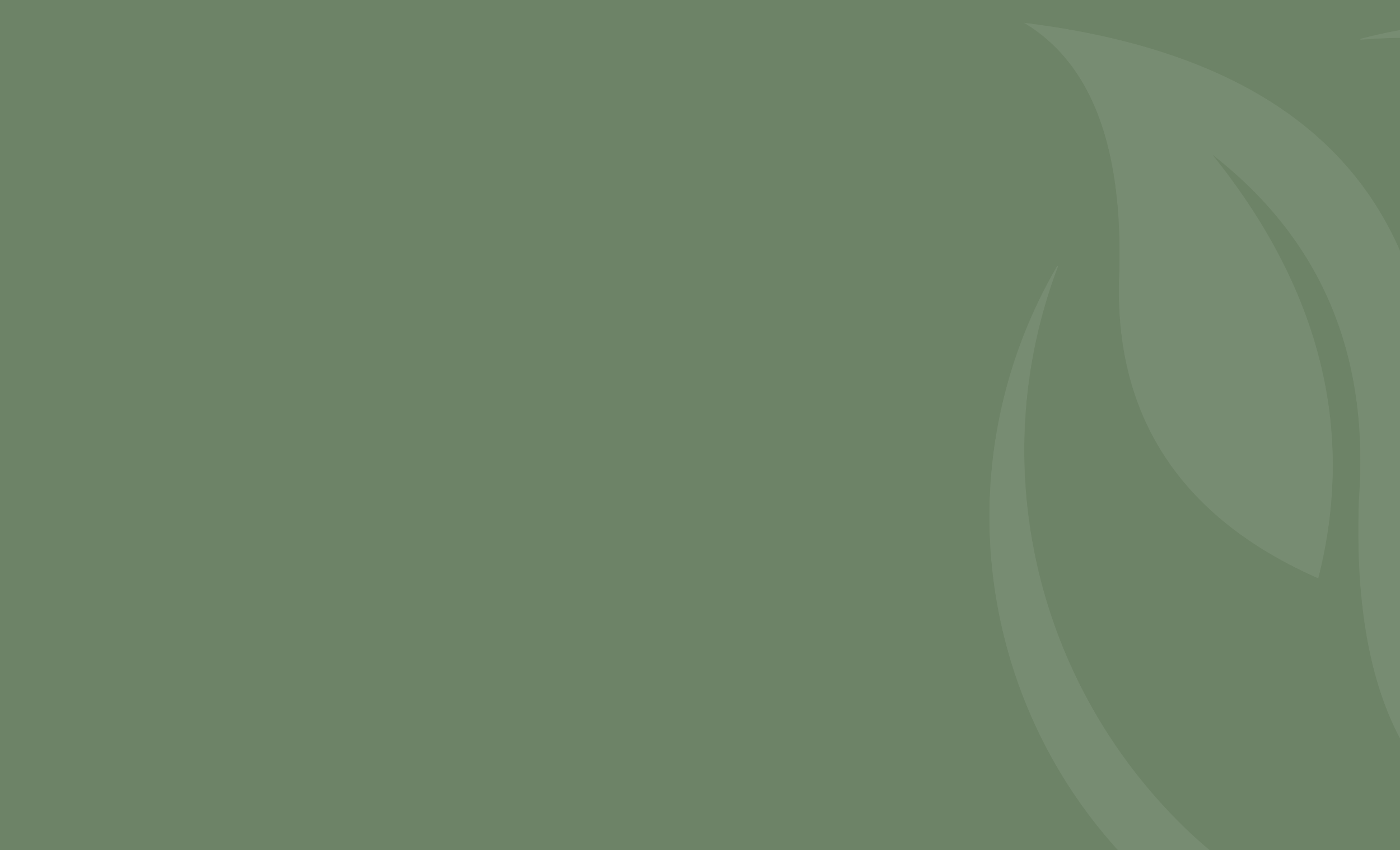 Reborn Health & Aesthetics logo