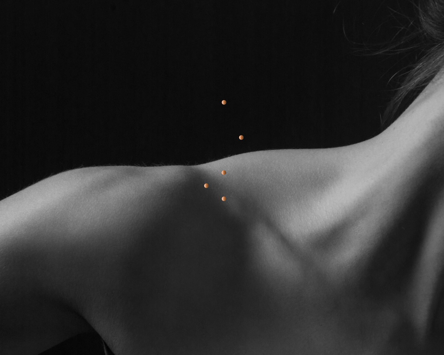 Taochemy: Whole-Body Wellness logo