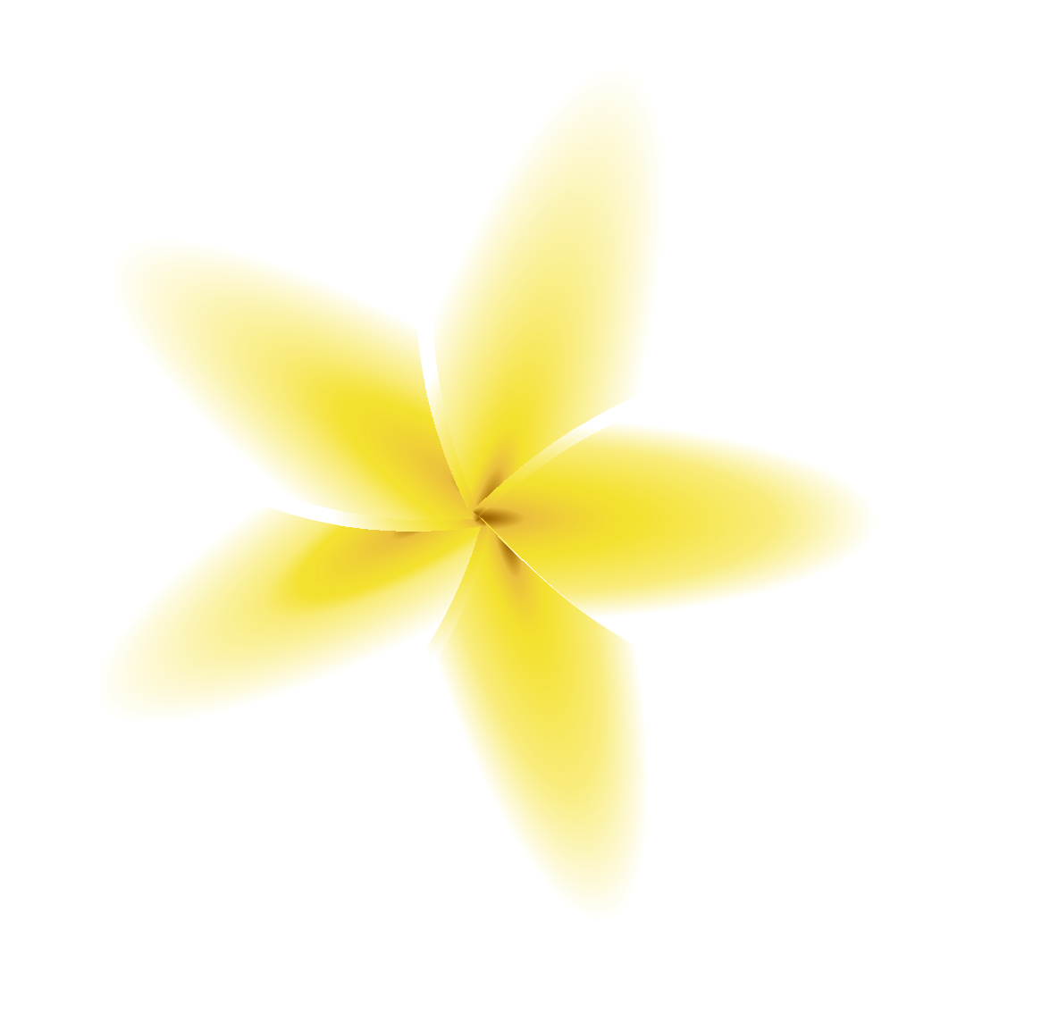 Vita Wellness Center and Spa logo