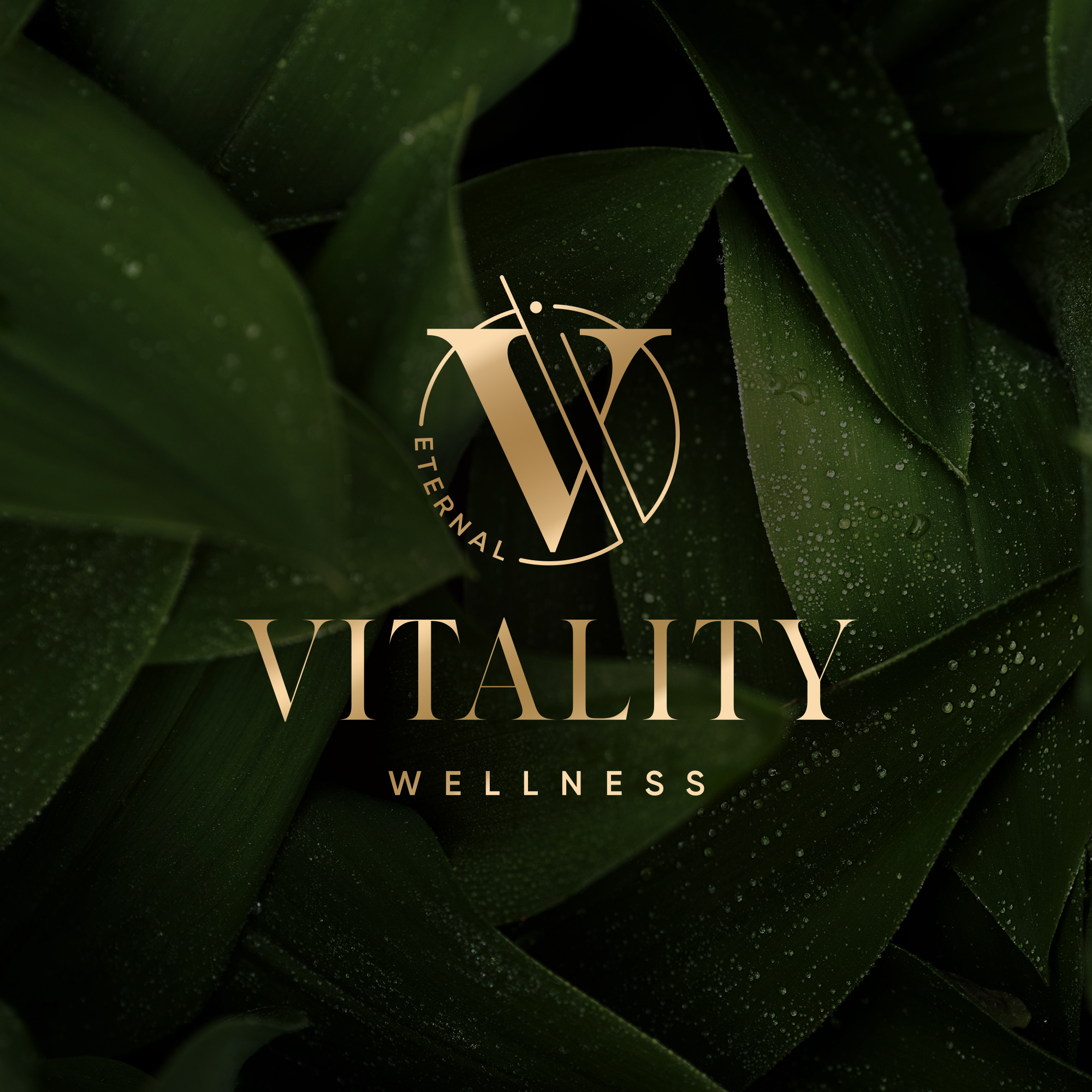 Vitality Eternal Med Spa in Chicago, Illinois logo